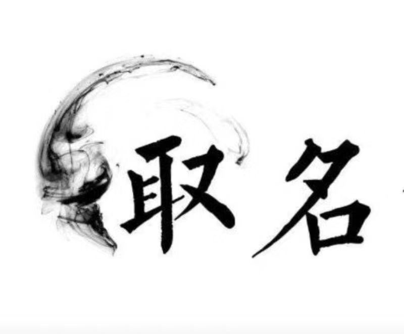  留坝宝宝取名 大师一对一人工起名